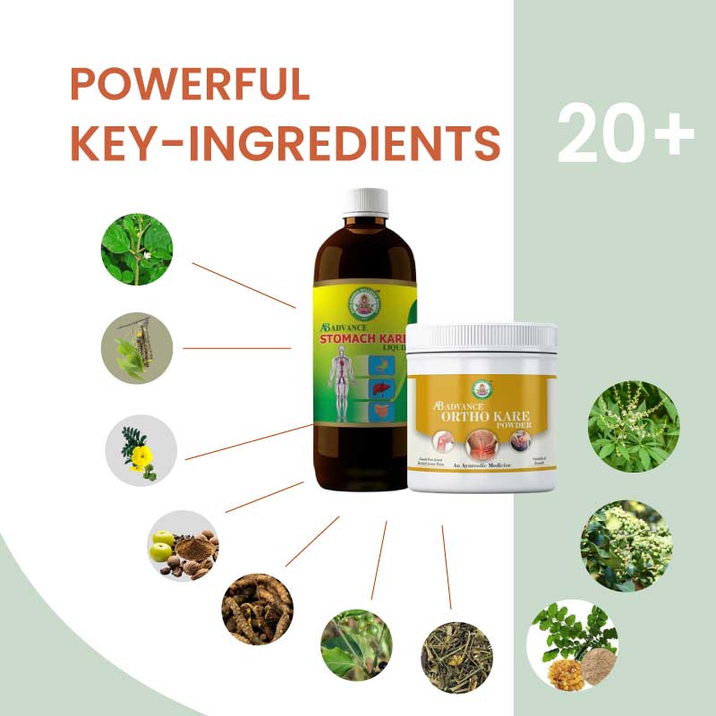 Ayur Bramha Advance Ortho Kare Powder & AB Advance Stomach Kare Combo