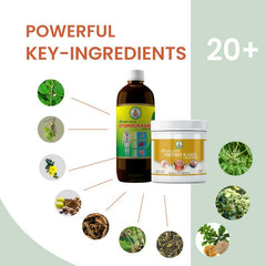 Ayur Bramha Advance Ortho Kare Powder & AB Advance Stomach Kare Combo