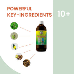 Ayur Brahma Advance Stomach Kare Liquid